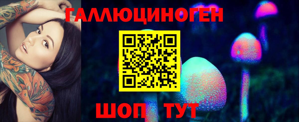 Жуковский  Галлюциногенные грибы ЛСД  Вход с VPN 