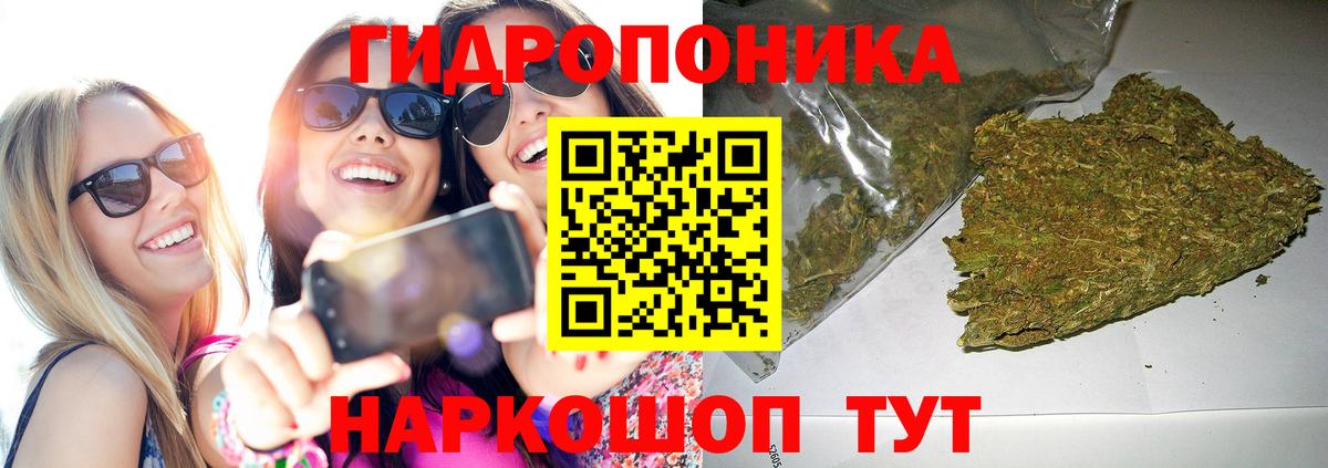 Бошки Шишки сатива  Конопля LSD WEED  Канабис MAZAR  Вход с VPN  Жуковский 